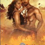 Baaghi 3 (2020)